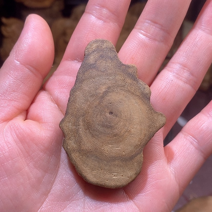 【闪购商品】沉香吊坠芽庄树心原材料老料