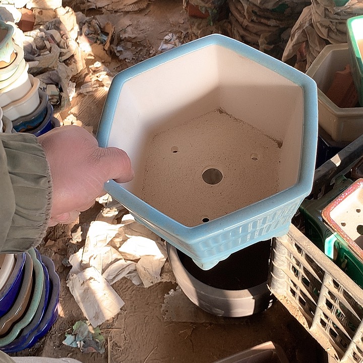 紫砂哈哈真的是太给力太火爆了