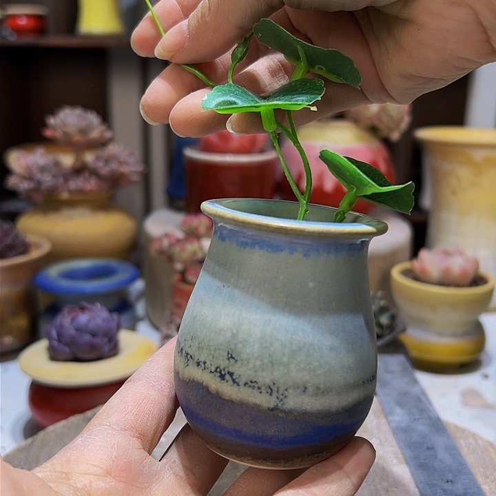 景德镇陶瓷2单包邮