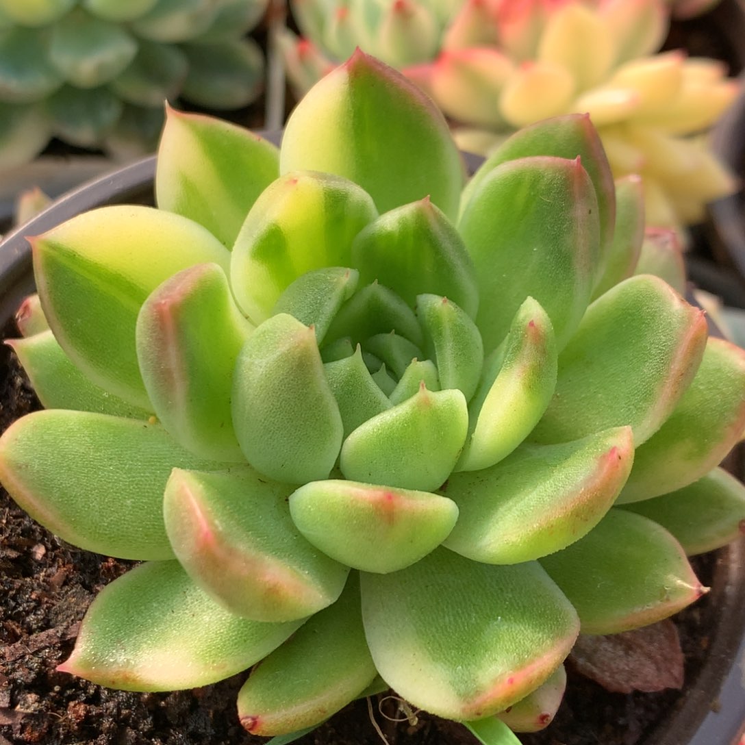 东云杂j j j j j j l