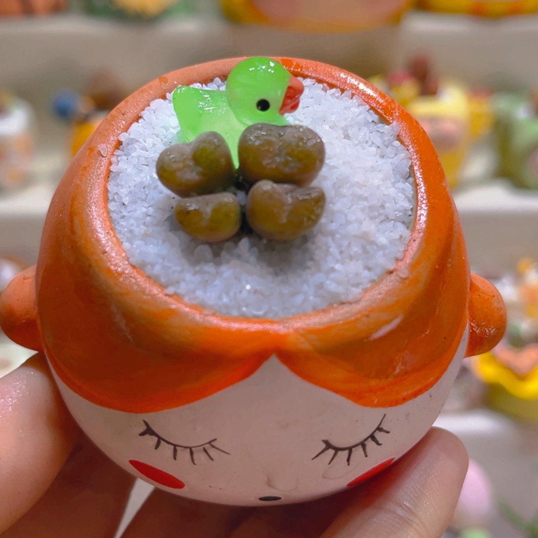 020四头空卡佛带盆带土手工盆