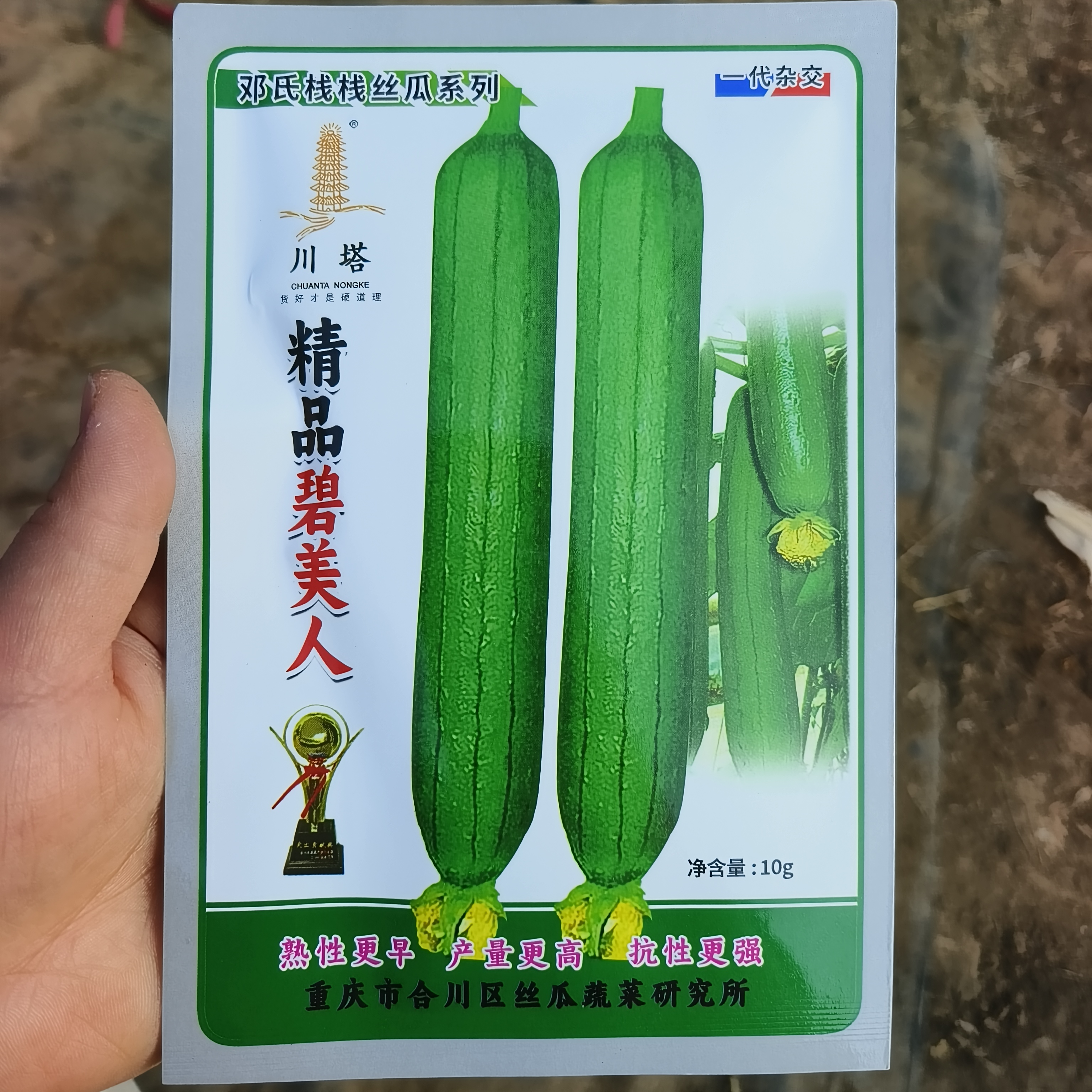 精品碧美人丝瓜种子油亮深绿不易老琉璃翠化肉嫩口感略甜四季可种