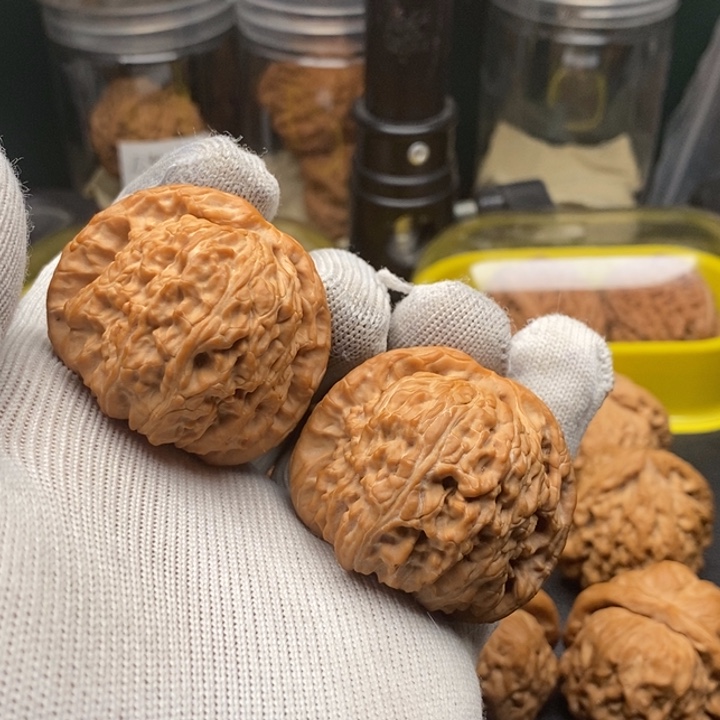 文玩核桃把件秋***八白狮子44尺