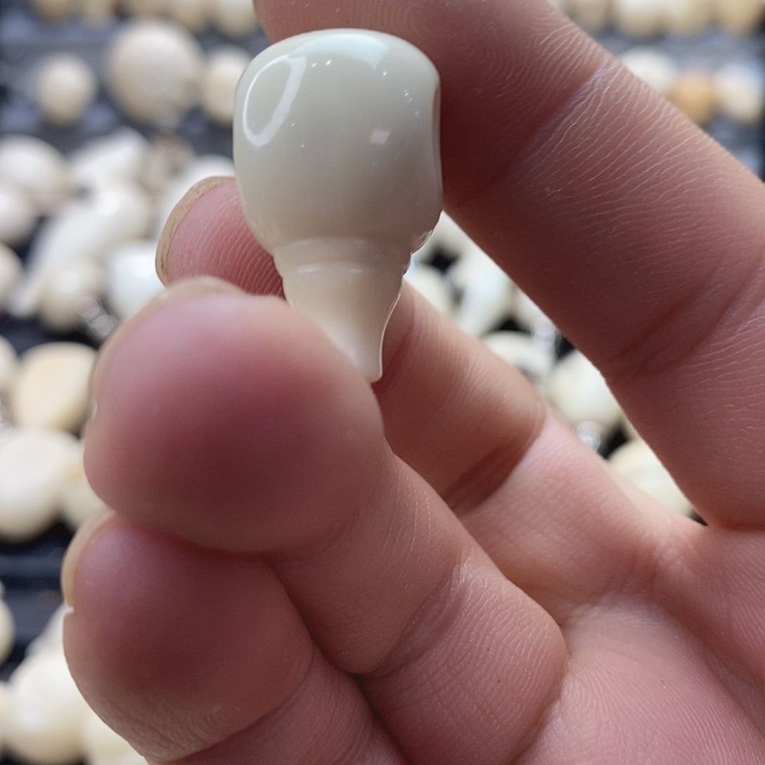 吃***好菩提根/象牙果吊坠