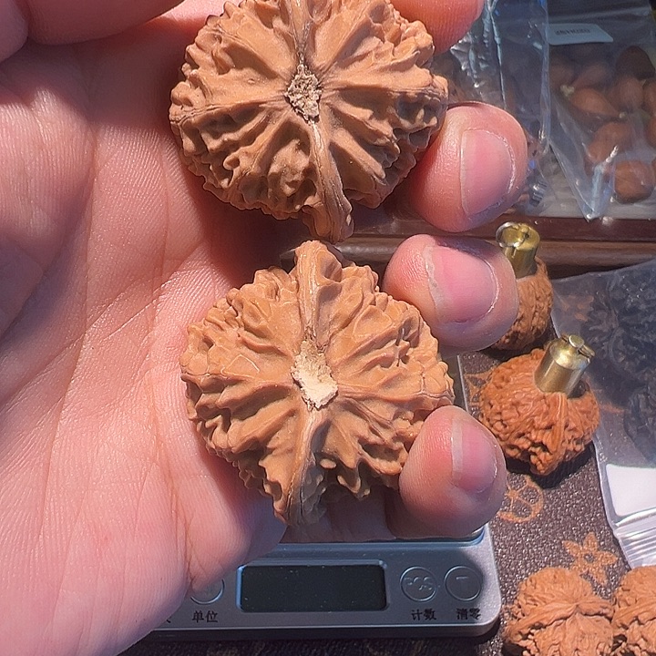 核桃全品无修宫灯玉玺狮子头