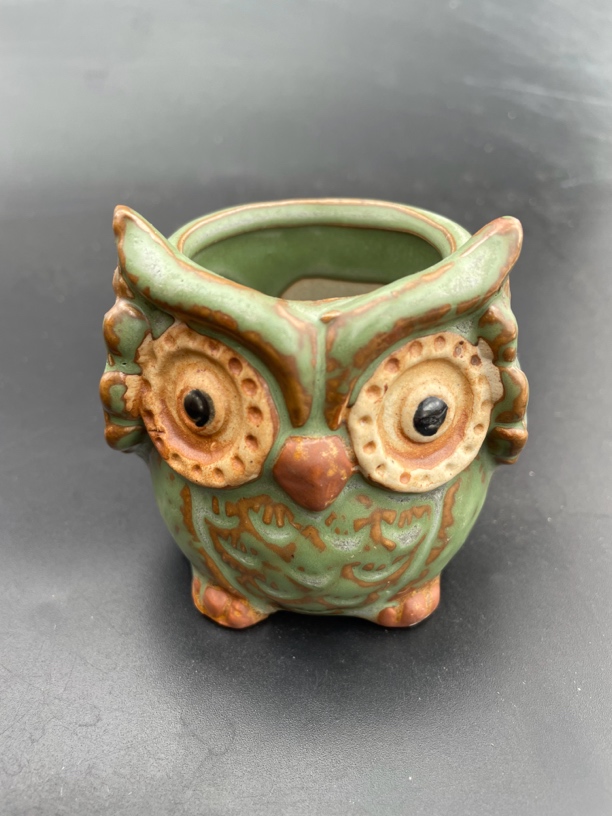 仙人球专拍链接与图片无关直播间挑好然后拍相应的价格就可以了