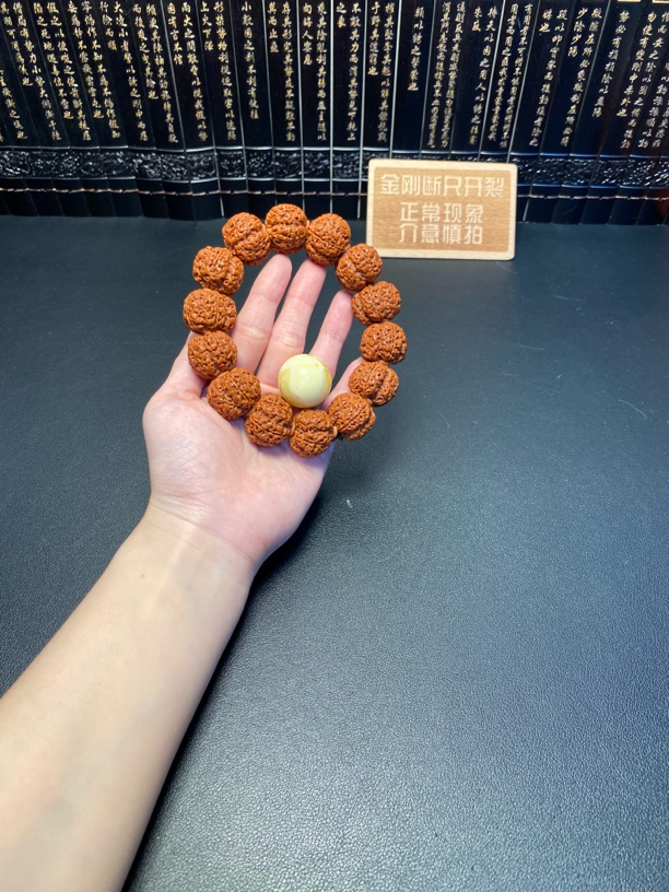 新品，尼泊尔金刚菩提（2号）