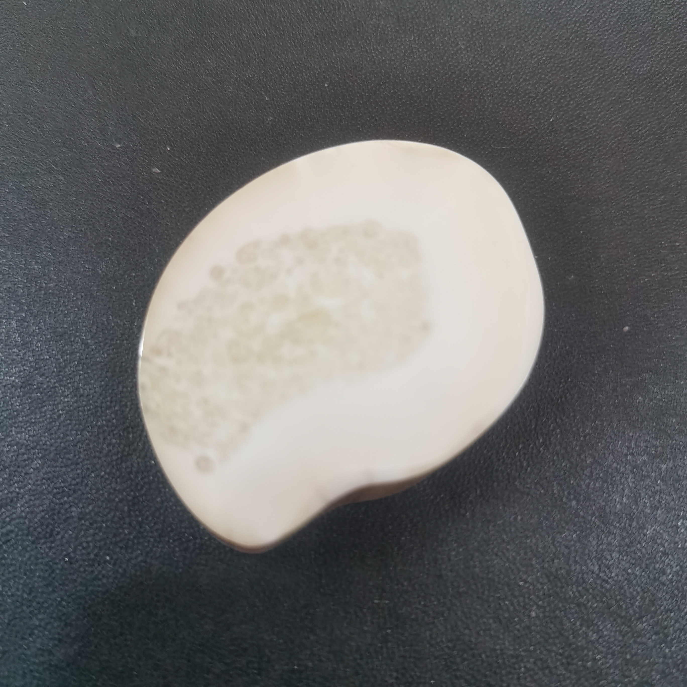 猛犸虬饼子kk778