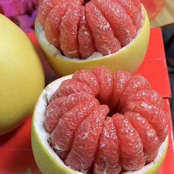 福建三红柚子脆甜多汁