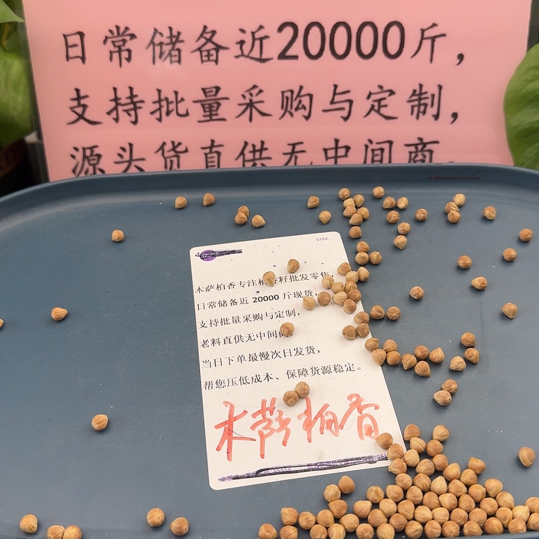 騳***鵀柏香籽/百香籽吊坠6+三奔20克