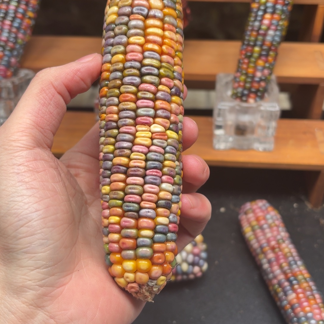 ****粒我我文玩我玩我我