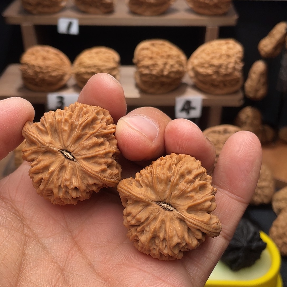 久***等桃核吊坠南疆石39/39/41全品无修无黄