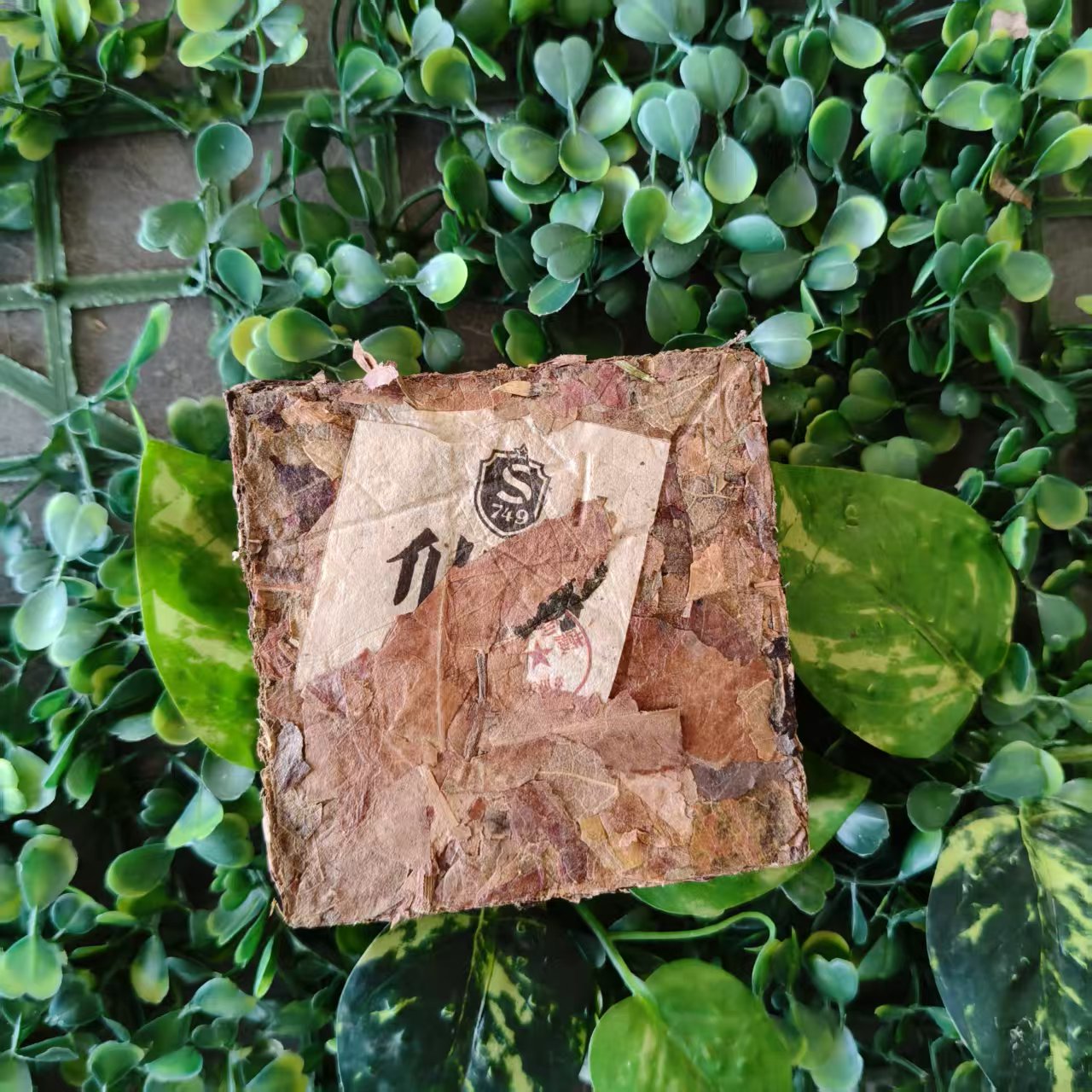 雨腾古茶  菩提XR本M夜M珠菩提原叶200g/砖（6月3）