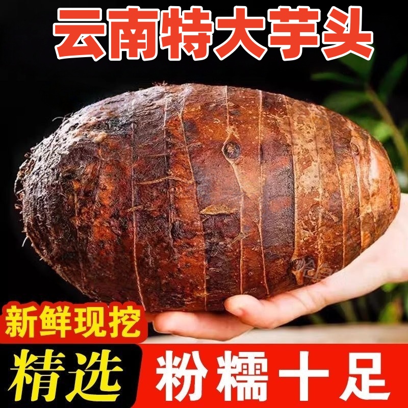 【亏本5斤】正宗云南芋头新鲜香芋软糯芋头当季新鲜蔬菜非荔浦芋头