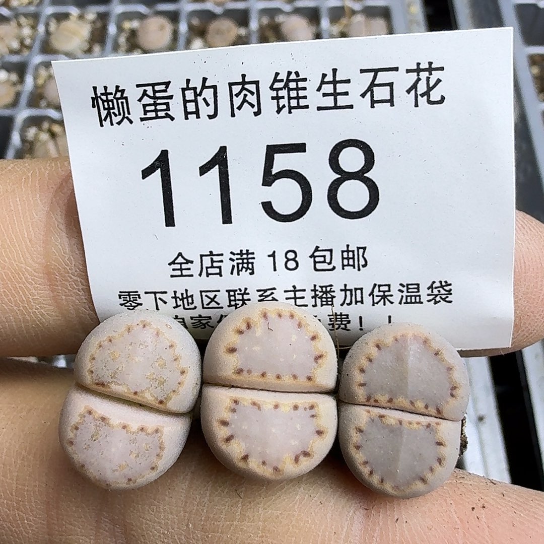 花***酱1158 哈哈哈哈哈哈哈哈