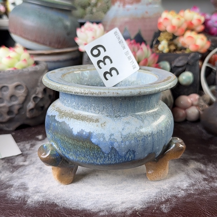 重庆小燕子欢迎大家339