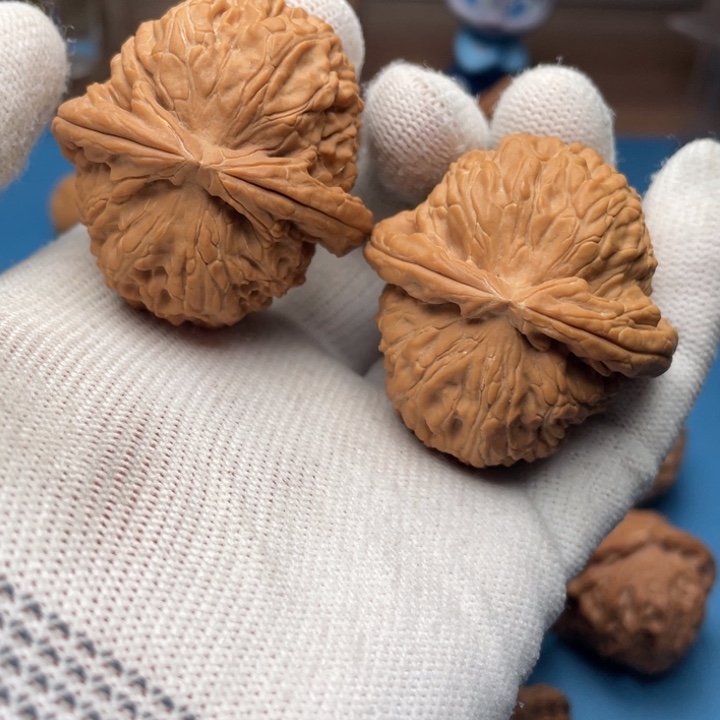 文玩核桃把件晨*宇41白狮子a 14