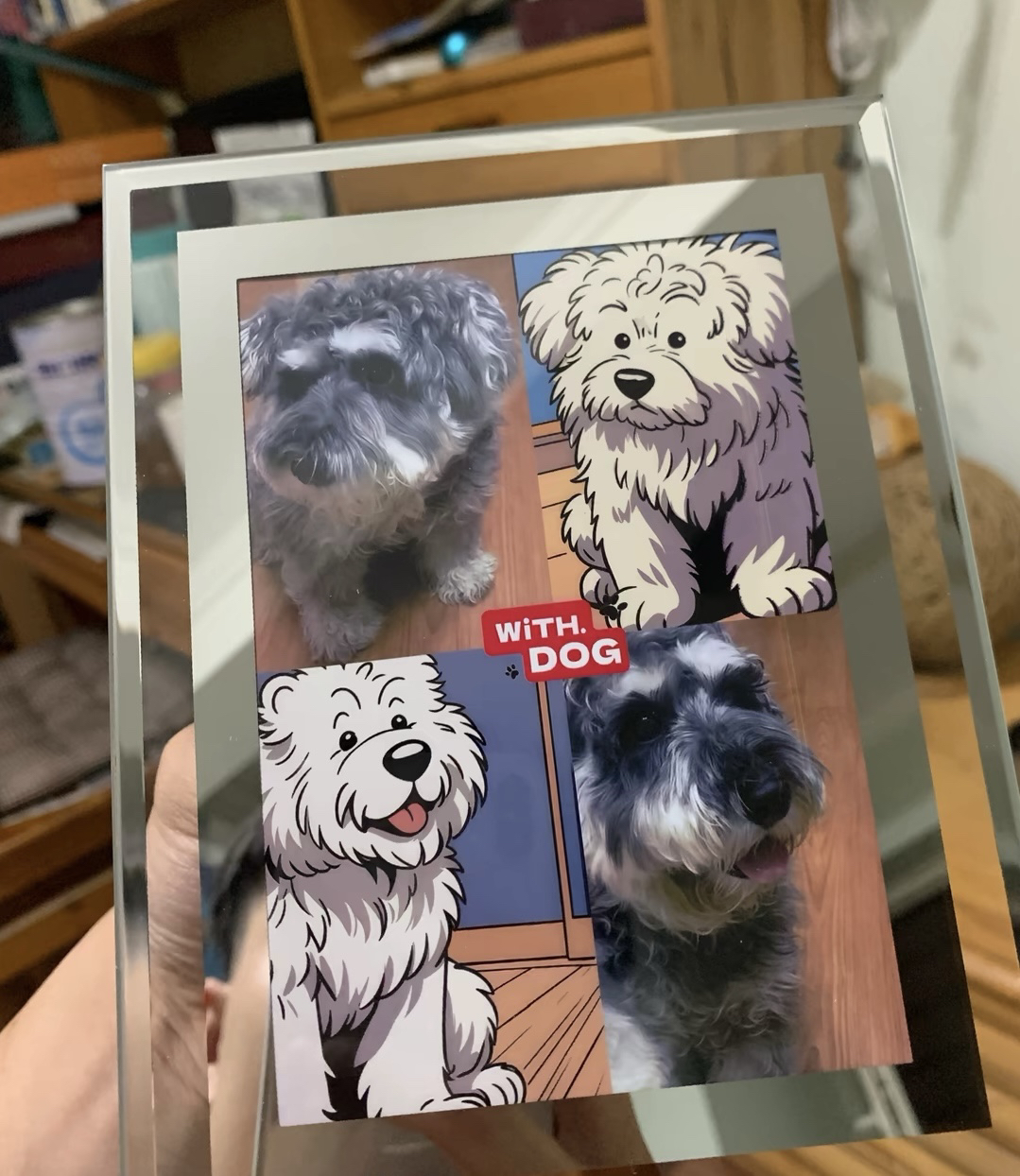 宠物创意设计（下单联系客服）