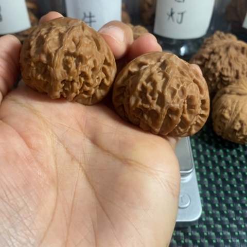 文玩核桃宫灯40尺寸