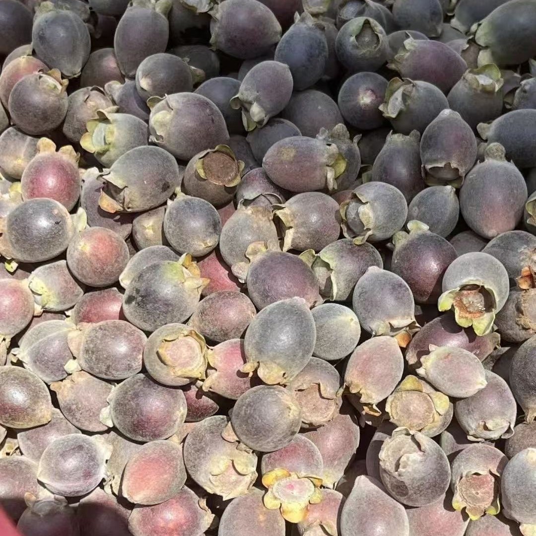 广西山捻子干果三蒸三晒桃金娘可用于泡酒泡茶煲汤