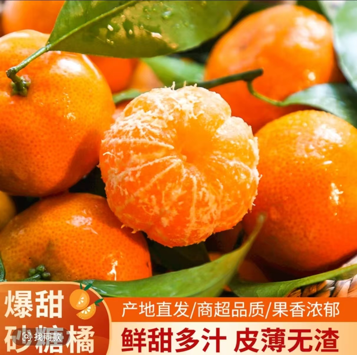 SS新鲜采摘五斤装金秋砂糖橘自家果园产皮薄多汁 水多新鲜
