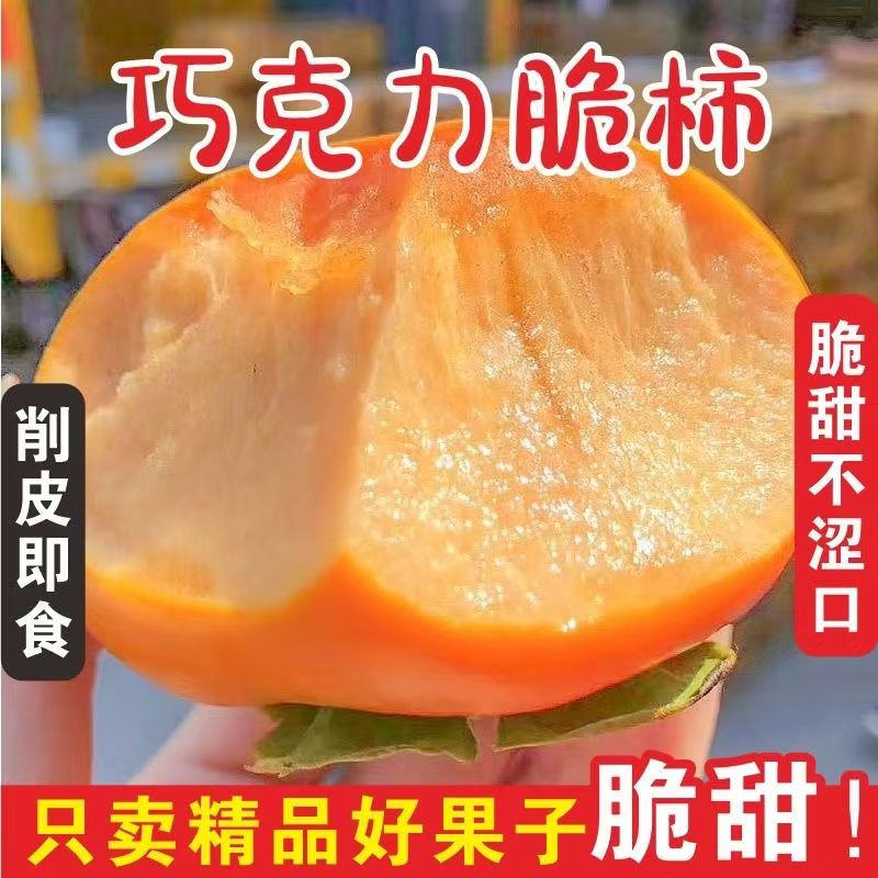 【冰糖心巧克力脆柿】山西阳丰脆甜柿子 新鲜脆柿子饼水果4枚/4.5斤