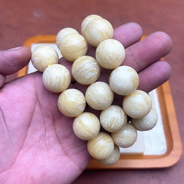 香榧木2.0毕业款北极麝牛