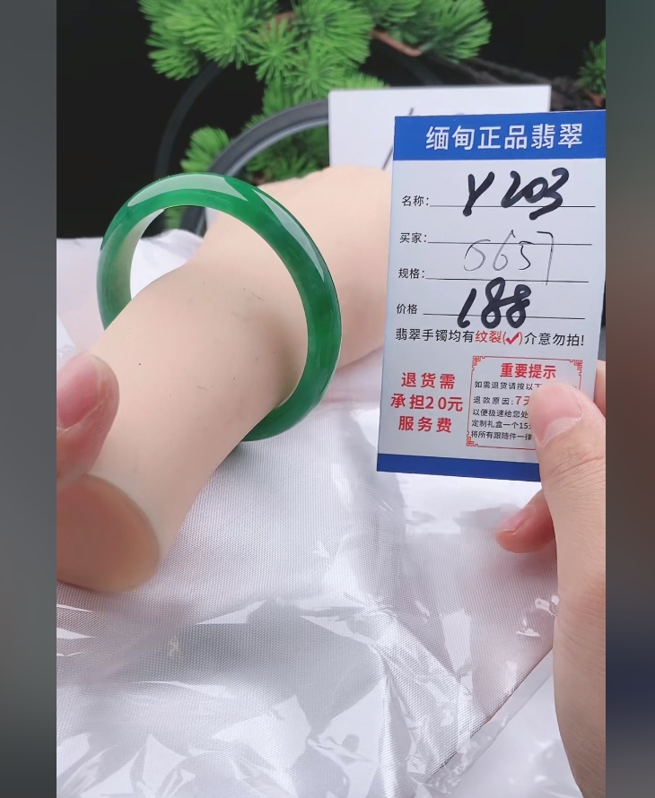 Y203缅甸翡翠处理手镯【一物一证】实物以直播间为准带证书发货