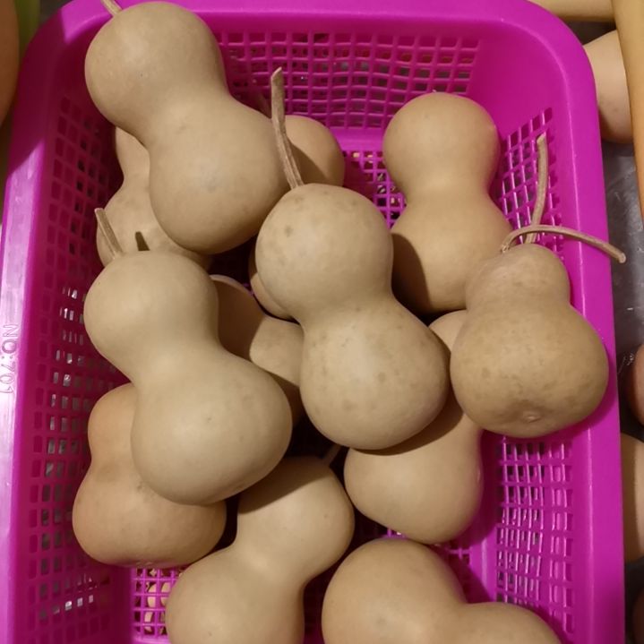 丽***钱自然葫芦专拍链接