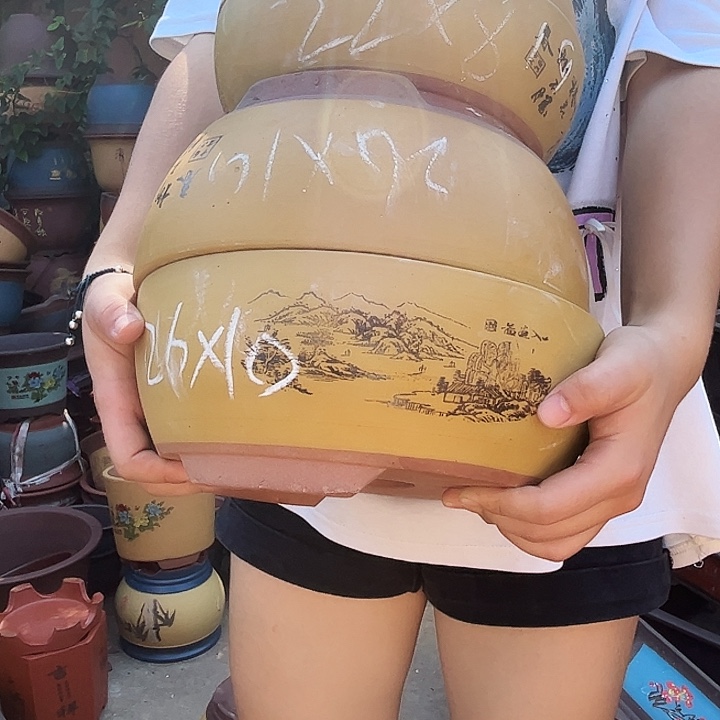 黄色江山如画中小两对花盆