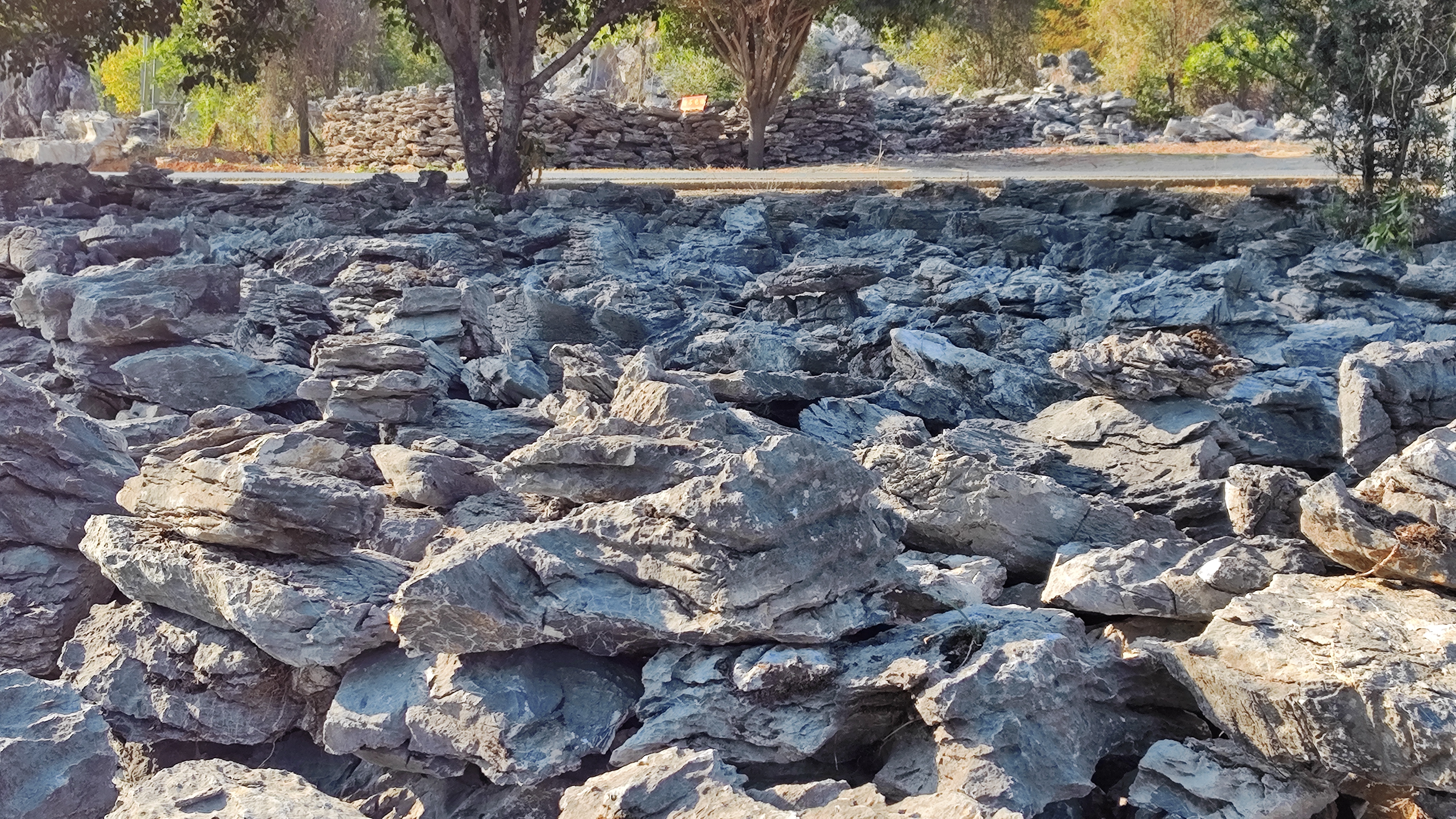 精品青龙石-人工叠石假山石