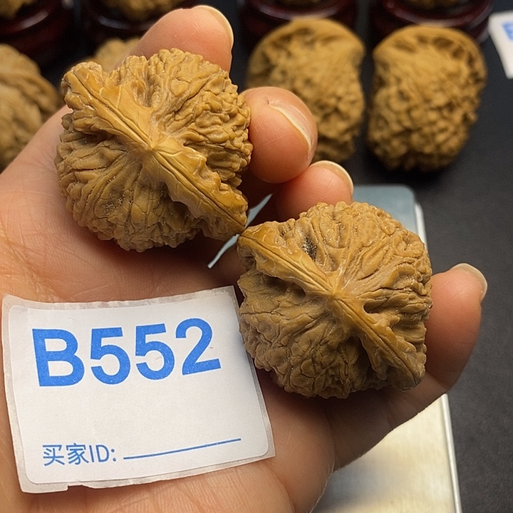 核桃南疆4.1，有修