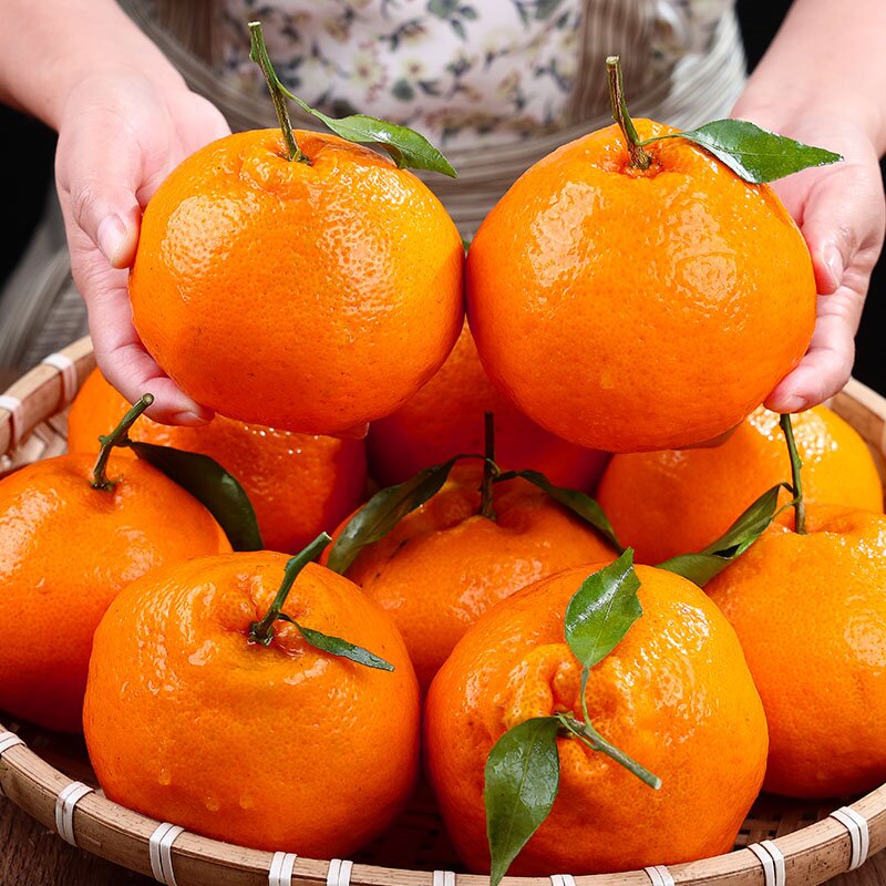 f四川正宗春见耙耙柑 颗颗爆汁 产地直发 现摘现发