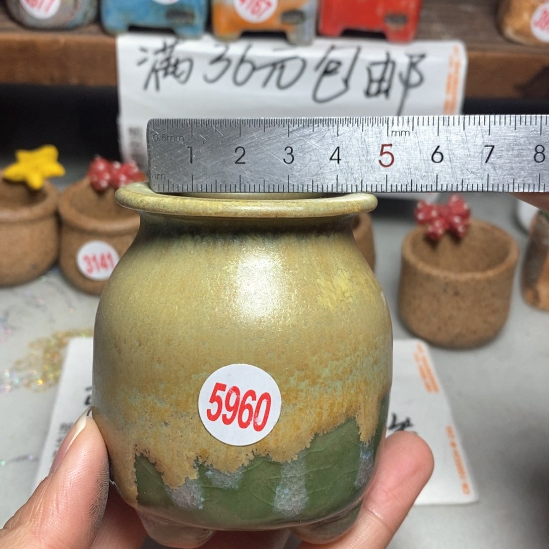 红陶拍5送一个小