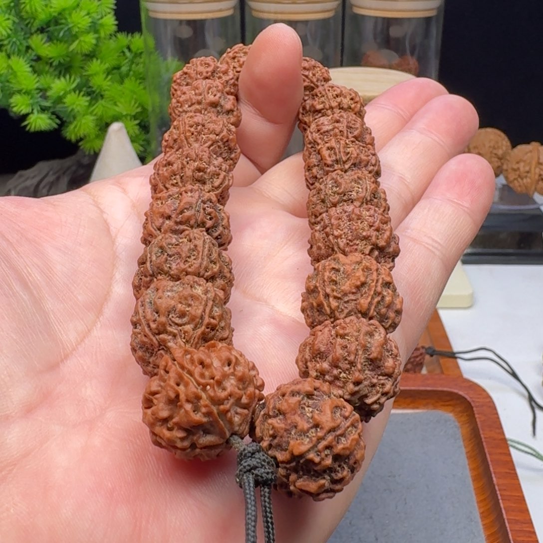 手串金刚菩提老籽蜂窝双龙