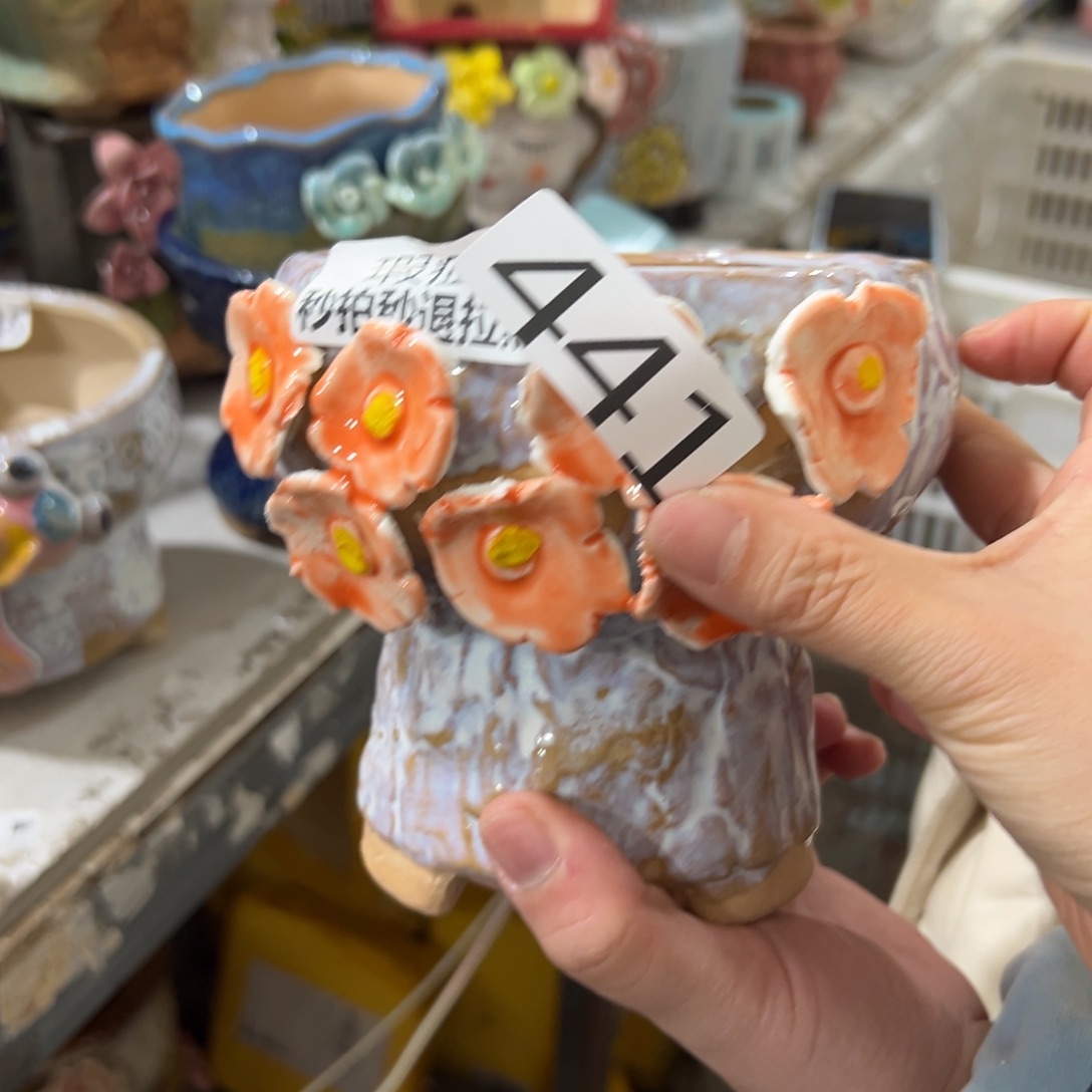 花盆，拍满20发货，退款拉黑