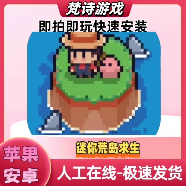 迷你荒岛求生 Tiny lsland Survival 游戏安装服务