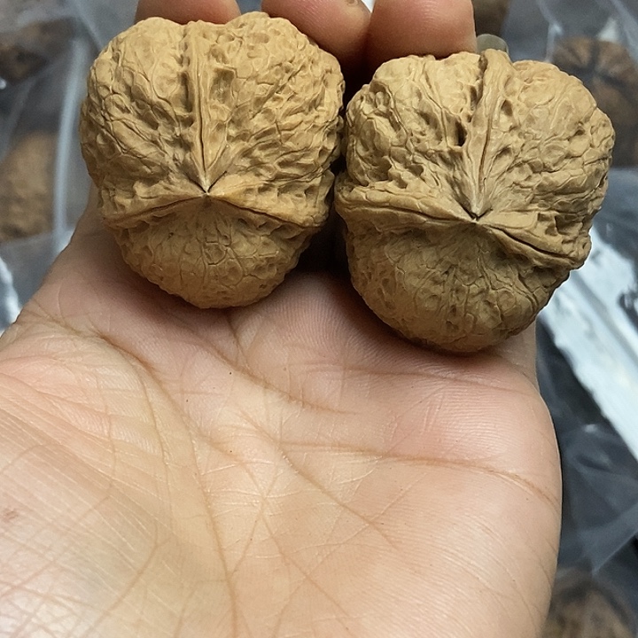 文玩核桃把件云南铁核桃基地5