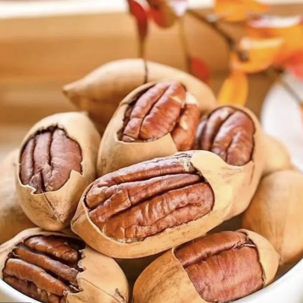 【鸡哥专属】闭根裹【虾干福利】