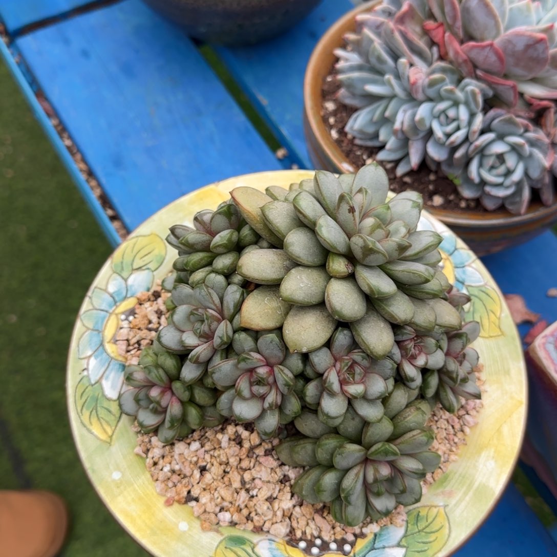 福利多多多多多多