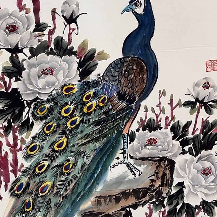 横款新号为一个月的时间