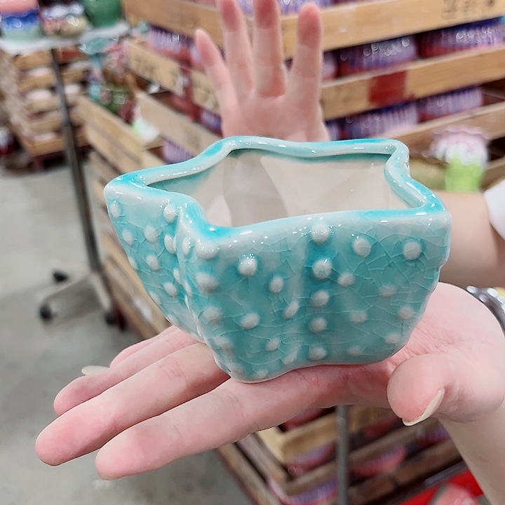 有孔.凑单10元陶瓷花盆发货！