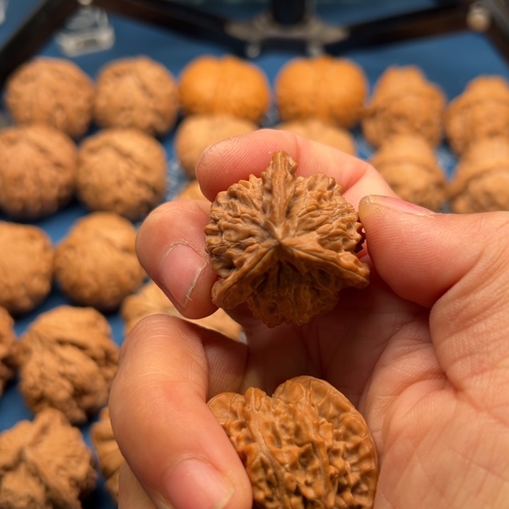 文玩核桃把件烦****）三棱