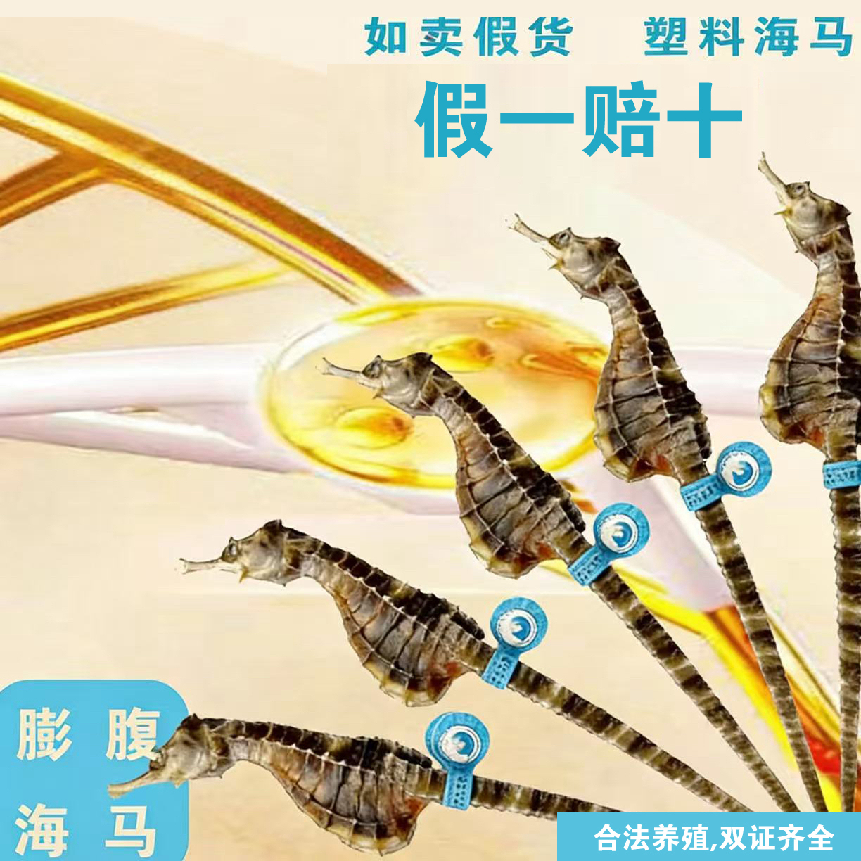 海马养殖地基源头厂家福利品公母混搭带溯源码适合煲汤
