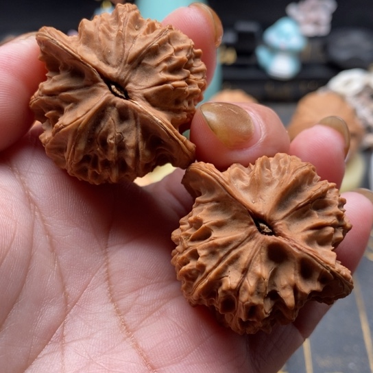 文玩核桃吊坠天地狮子头