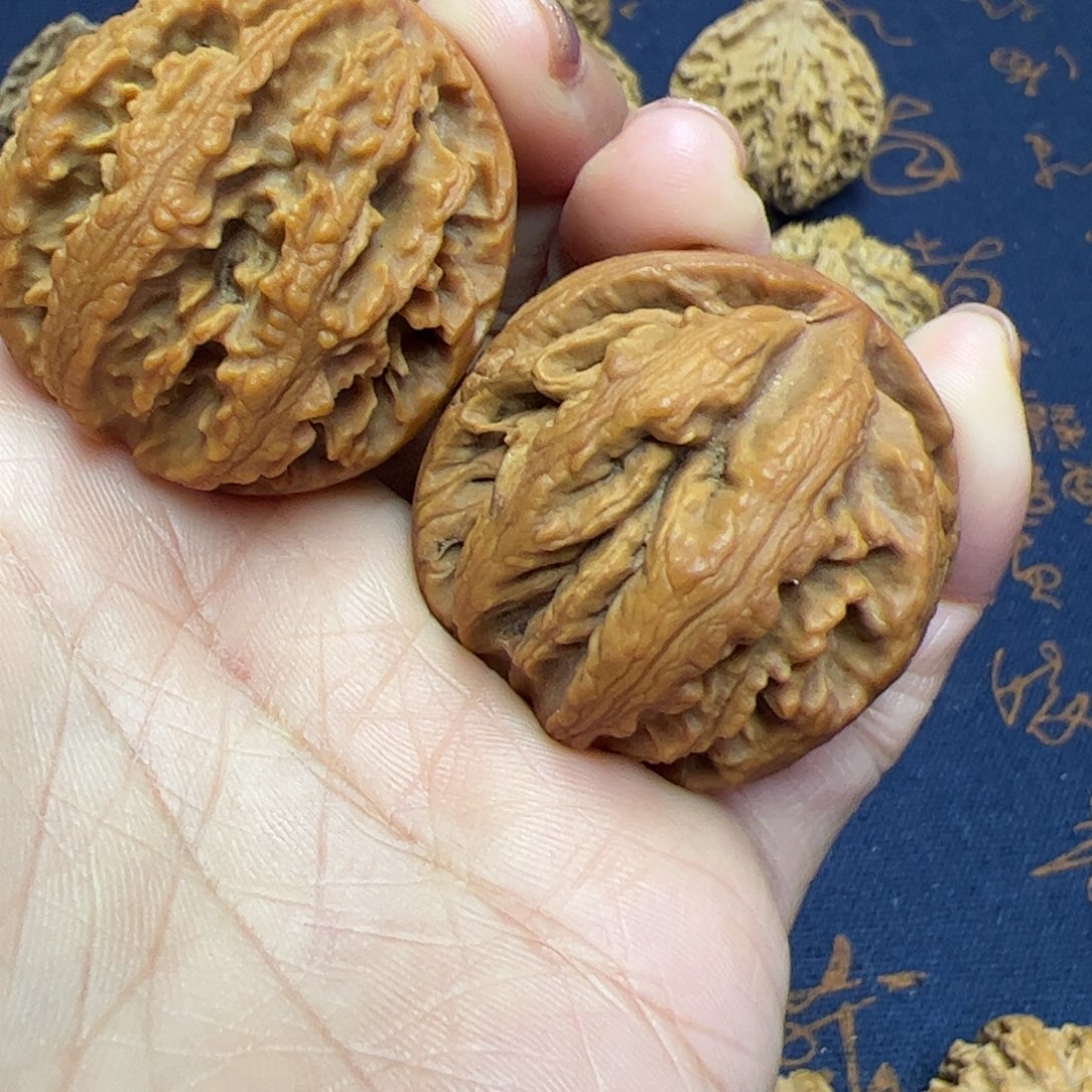 文玩核桃把件秦岭野生植物核桃