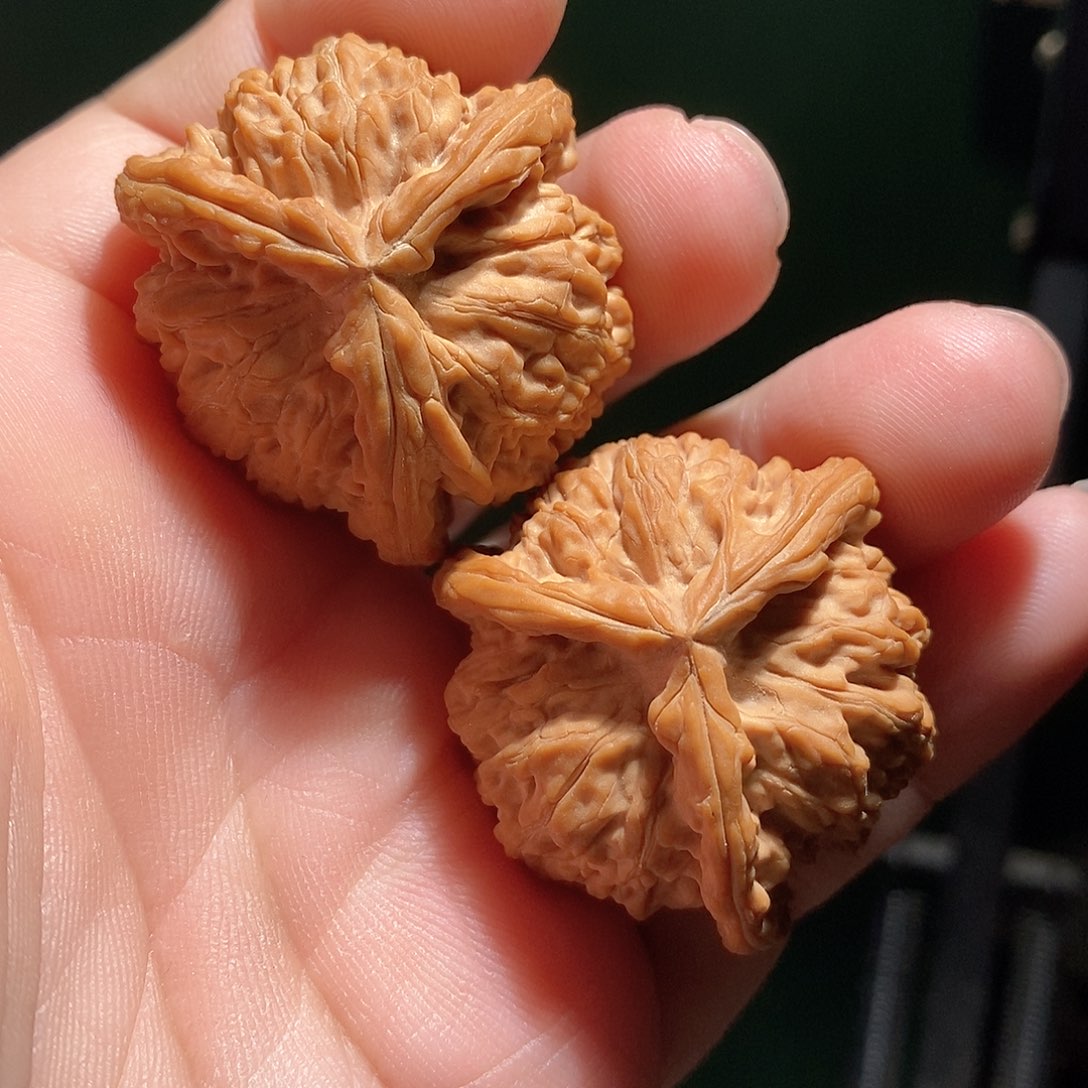 文玩核桃把件37白奔全品