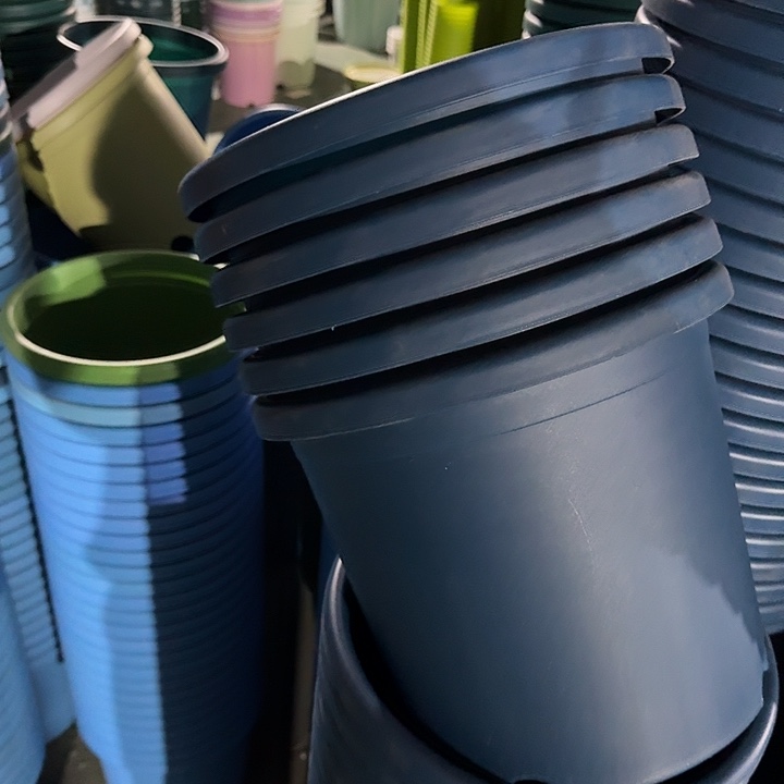 特价5号6个无托藏青