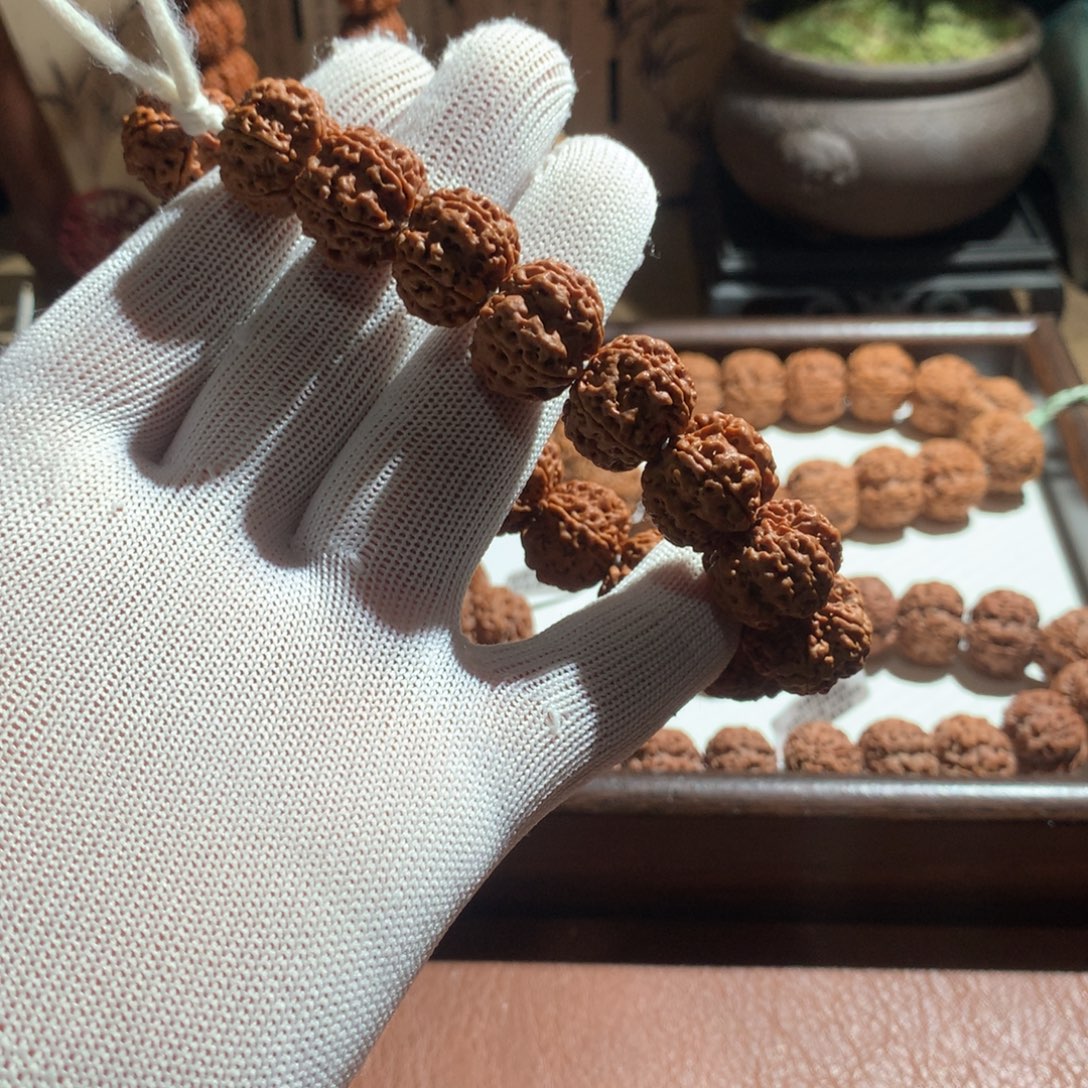 就***玩手串金刚菩提玉龙梅花18微打底
