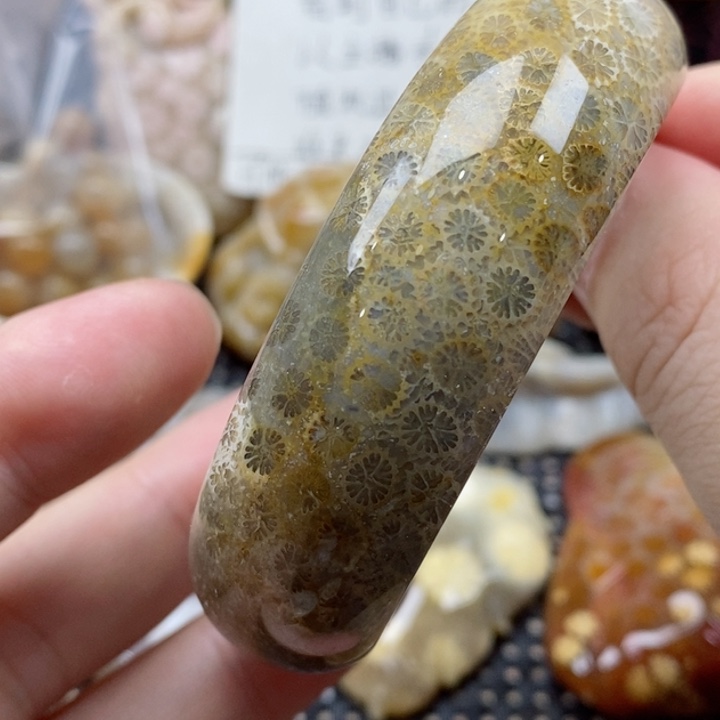 硅化珊瑚（珊瑚玉）颈饰未镶嵌55